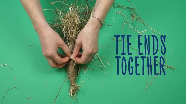 DIY Hay Carrot Toy смотреть онлайн