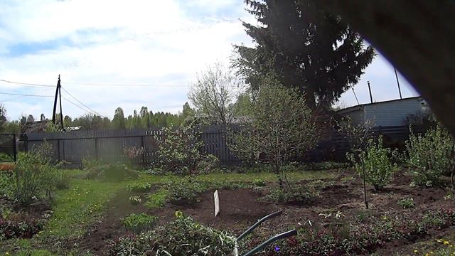 Полю тачками Перцы редеют Второй посев огурцов смотреть онлайн