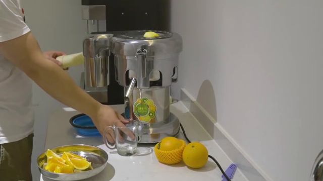 Commercial Juice Extractor Stainless Steel Juicer Heavy Duty WF-A3000 смотреть онлайн