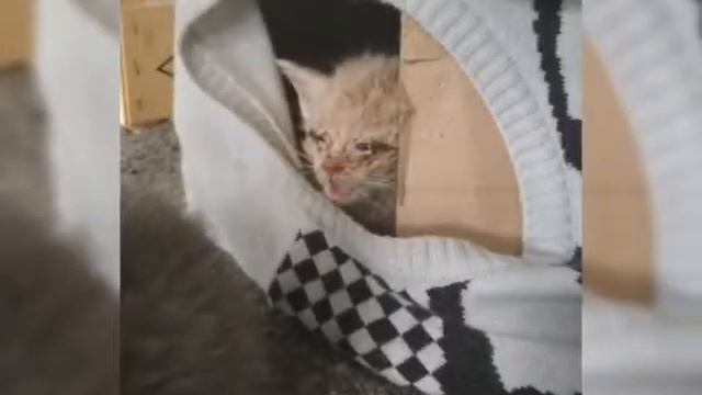Нарезка милых фото смотреть онлайн