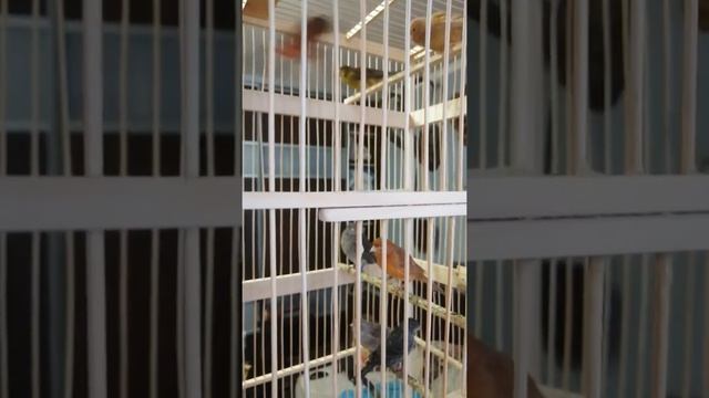 13 ноября 2019 г. смотреть онлайн