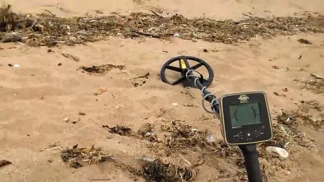 White's MX SPORT mega depth at beach. смотреть онлайн