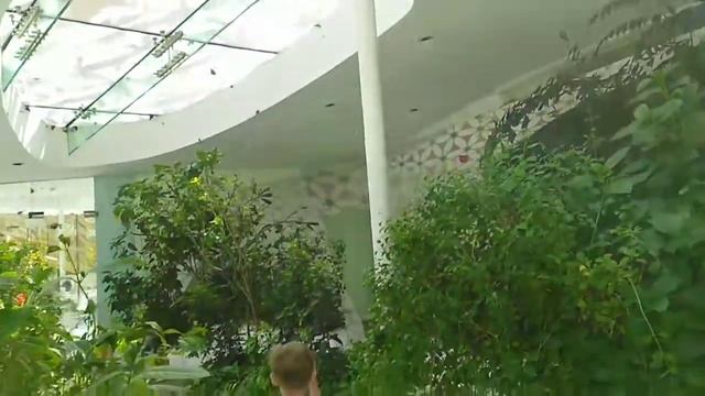 Дубаи, Шарджа, ОАЭ смотреть онлайн