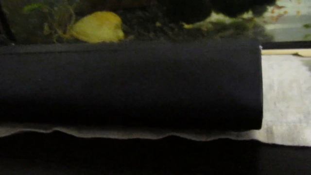 Корм для аквариумных креветок смотреть онлайн