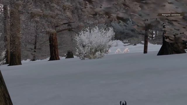Серьёзные игры на Тушино, СГ Winter Offensive смотреть онлайн