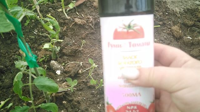 вторая подкормка томатов..... смотреть онлайн