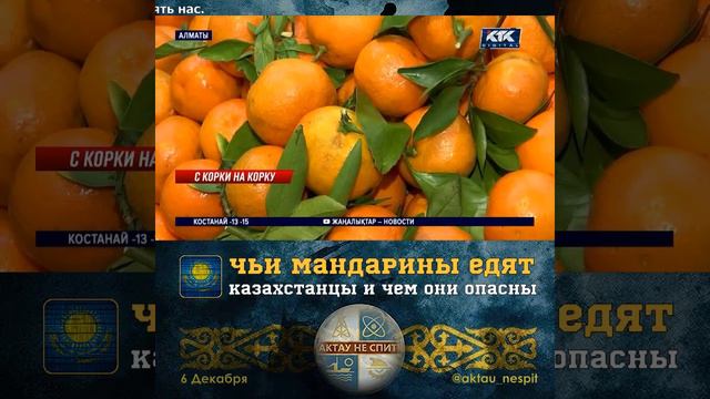 Чьи мандарины едят казахстанцы и чем они опасны смотреть онлайн