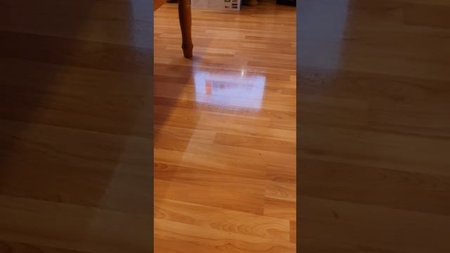 Saugroboter Medion смотреть онлайн