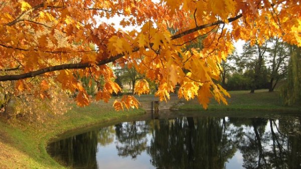 Elen Cora - Autumn [Video Arturo Alvarotti] [2017.10.22]