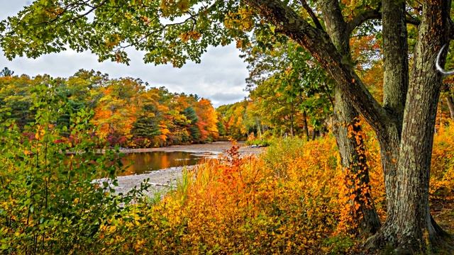 ФотоШоу PRO!!! Проекты ФотоШоу PRO! Проект 102!!! Осенние переходы для ФотоШоу PRO от МКТ!!! смотреть онлайн