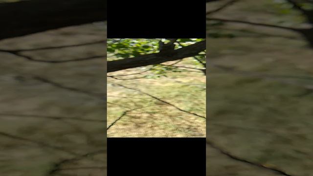 шпеонская смотреть онлайн
