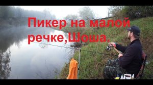 С пикером на речке Шоша