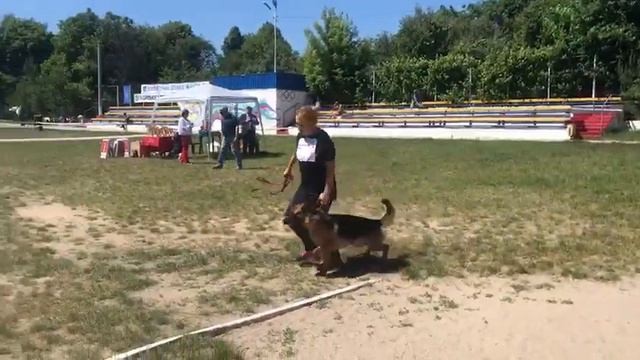 Аксланд ВИА Интенсия выход в раб.класс смотреть онлайн