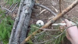 Яблоки у курином бульоне!Повторили легендарный рецепт!?