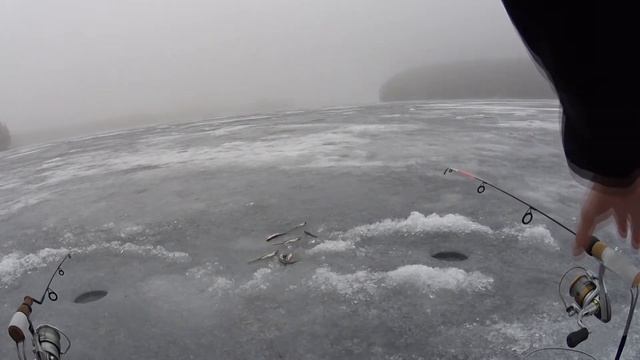 Зимняя ловля озерной корюшки. смотреть онлайн