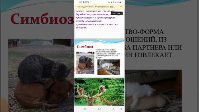Естествознание 4класс  «Что такое Симбиоз?»