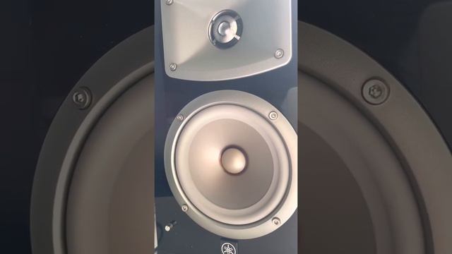 Yamaha NS 333 смотреть онлайн