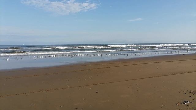 Playa coatzacoalcos смотреть онлайн