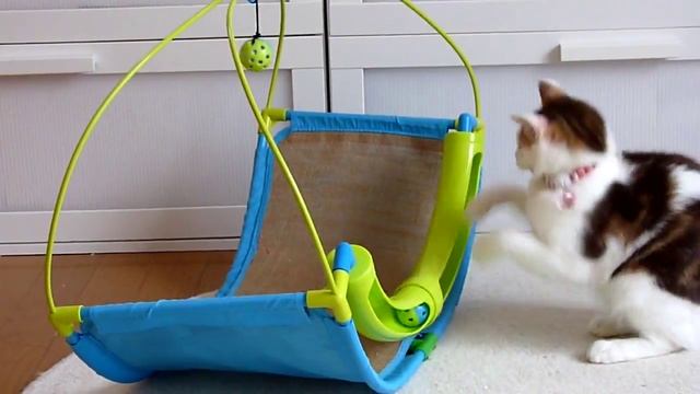 Sport Pet Rocking Roller Игровой центр для кошек "Школа Рока" смотреть онлайн