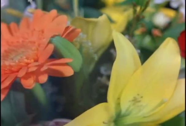 Петр Ильич Чайковский - "Вальс цветов" из балета "Щелкунчик" смотреть онлайн