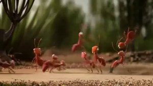 работа в команде