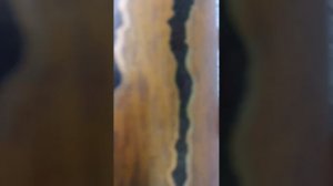 the java monster of nam