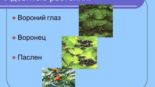 Природные аллергены смотреть онлайн