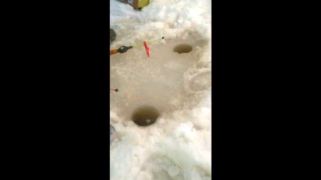 Девушка рыбак.Поездка в Пертоминск за навагой.На авто по льду.2017год 30кг.Мороз -28. смотреть онлайн