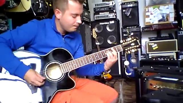 Ibanez AEL2012 - Chitara cu 12 corzi (Double Six) смотреть онлайн