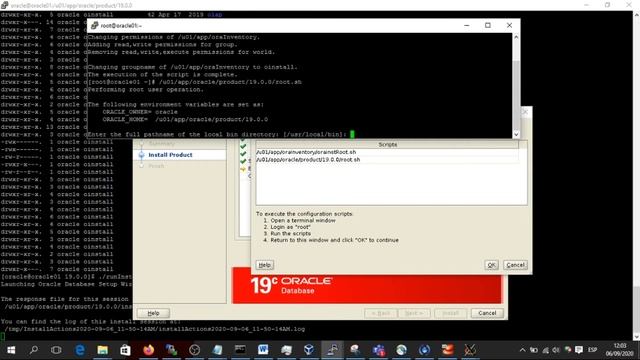 Instalacion Oracle 19c en Red Hat 7.8 смотреть онлайн