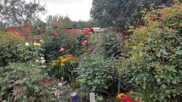 Строительная Галерея