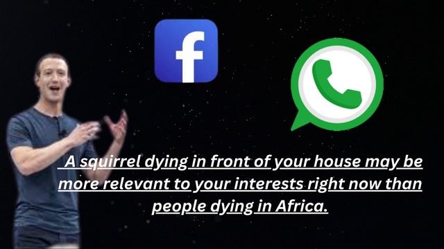 Mark Zuckerberg quotes смотреть онлайн