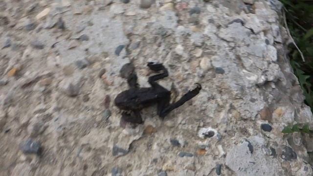 МАША БЛОГЕР #2//Anny life смотреть онлайн