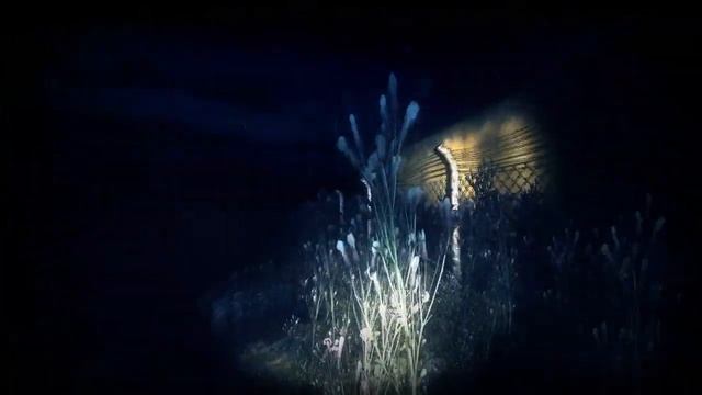 Первозгляд - Haunt: The Real Slender Game смотреть онлайн