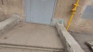 ТЕСТ УНИВЕРСАЛЬНЫХ КЛЮЧЕЙ StarNew (2 часть)