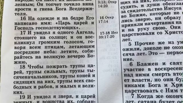 1262 Воскресенье. Читаем Библию. смотреть онлайн