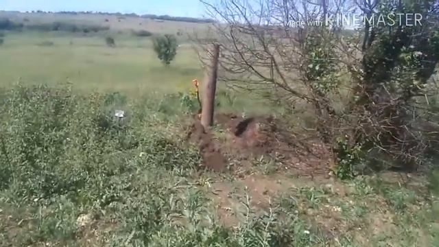 Терра 305 Расчитывал на КУШ а хватило на конфеты смотреть онлайн