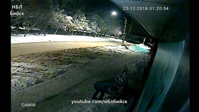 Бийчанин разграбил новогоднюю инсталляцию у кафе "Шоколатте" смотреть онлайн
