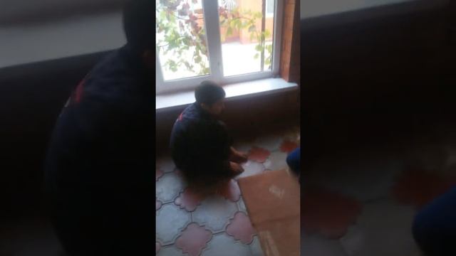 Мы играем в карточки мортал комбат смотреть онлайн