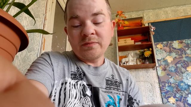 Я читаю стихи часть 20 смотреть онлайн