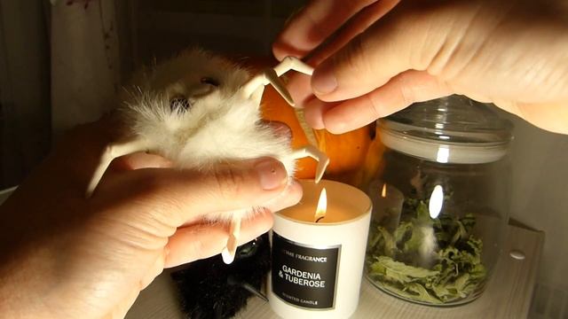 Авторская игрушка, Хеллоуинские паучки. смотреть онлайн