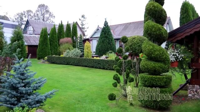 ПРОГУЛКА по Саду Андрея Скавинского - 2 серия / топиарное искусство / обзор сада / топиарные формы смотреть онлайн