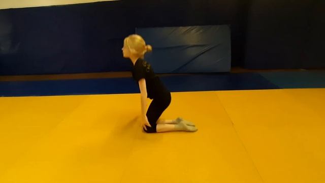 Акробатика Ласточка