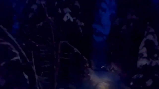 НЕОЖИДАННЫЙ ПОДАРОК СУДЬБЫ НА ОХОТЕ В ПОИСКАХ ГЛУХАРЯ 2022 смотреть онлайн