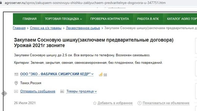 Безумные идеи для заработка 5000 рублей в день на сосновых шишках в накануне нового года смотреть онлайн