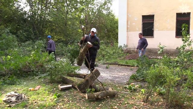 Экологический десант смотреть онлайн