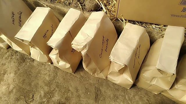 Упаковка и отправка семенного картофеля апрель 2020 г // секреты хороших урожаев смотреть онлайн