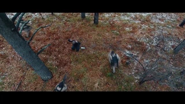 Отряд специального назначения «ГРОМ» УМВД России по Томской области смотреть онлайн