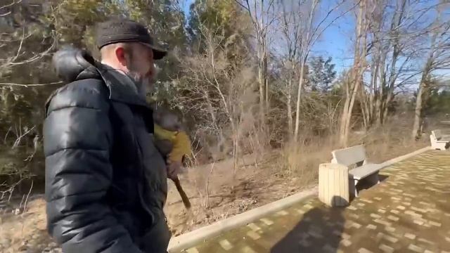 Люська нарядилась КАК СМОГЛА , взяла любимую игрушку и пошла КОРМИТЬ СВОЮ СЕМЬЮ ГАМАДРИЛ! смотреть онлайн