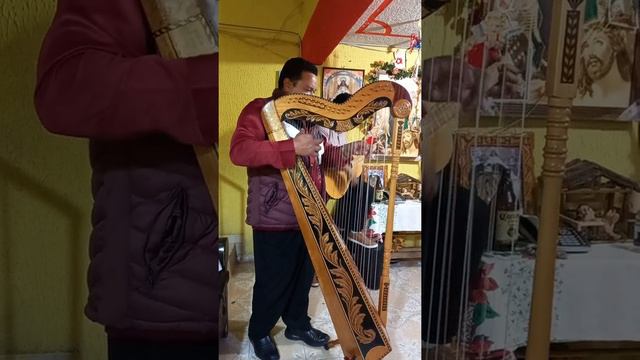 el gallo de oro con arpa смотреть онлайн